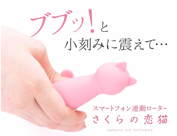 sakura-koineko